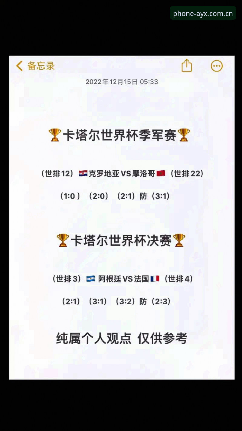 世界杯观赛全攻略：从签证困境到爱游戏平台体验的完整指南