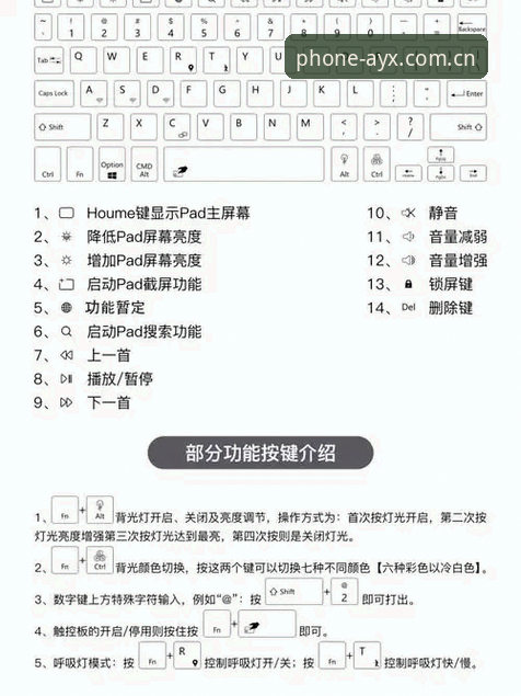 AYX爱游戏官网最新版本详解：功能迭代与使用指南